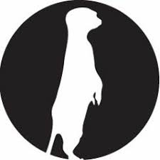 download - 2026-03-16t135315.375.jpg